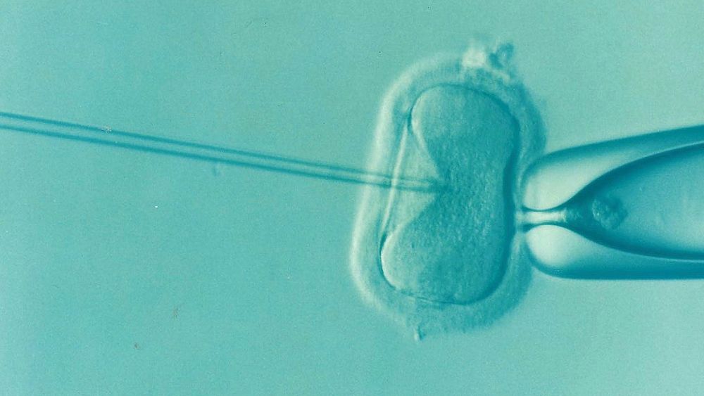 Assisted Reproductive Technologies Used by Fertility Clinics