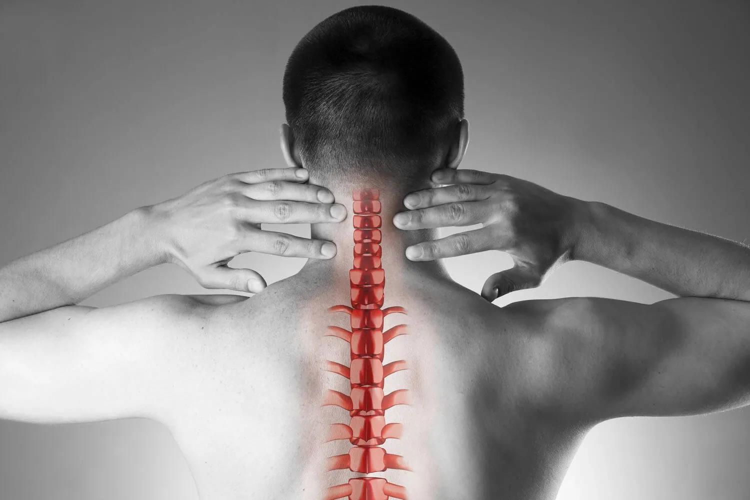 Services Offered by Spine Surgery Specialists