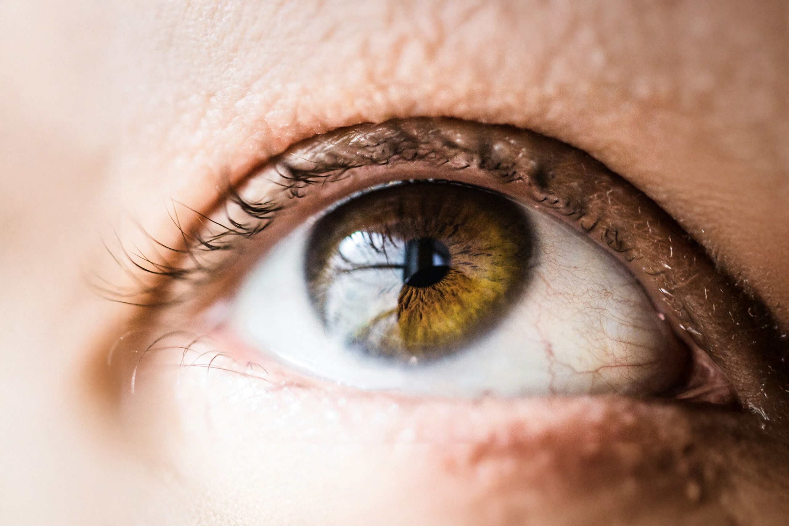The Role of Your Eye Doctor in Preventing Eye Diseases